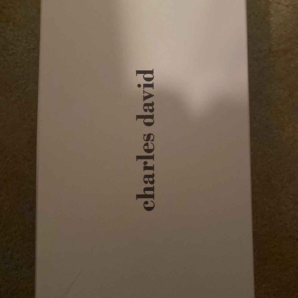 Size ten never worn charles david pink pump